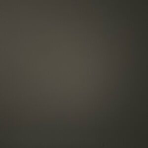 Meet your Posher, Rafael